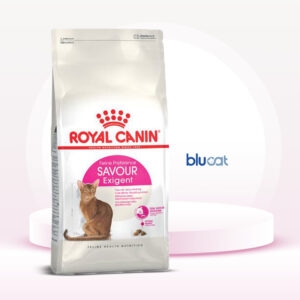 غذای خشک گربه ساور اگزیجنت رویال کنین