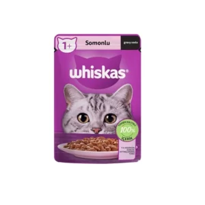 پوچ گربه ویسکاس طعم ماهی سالمون